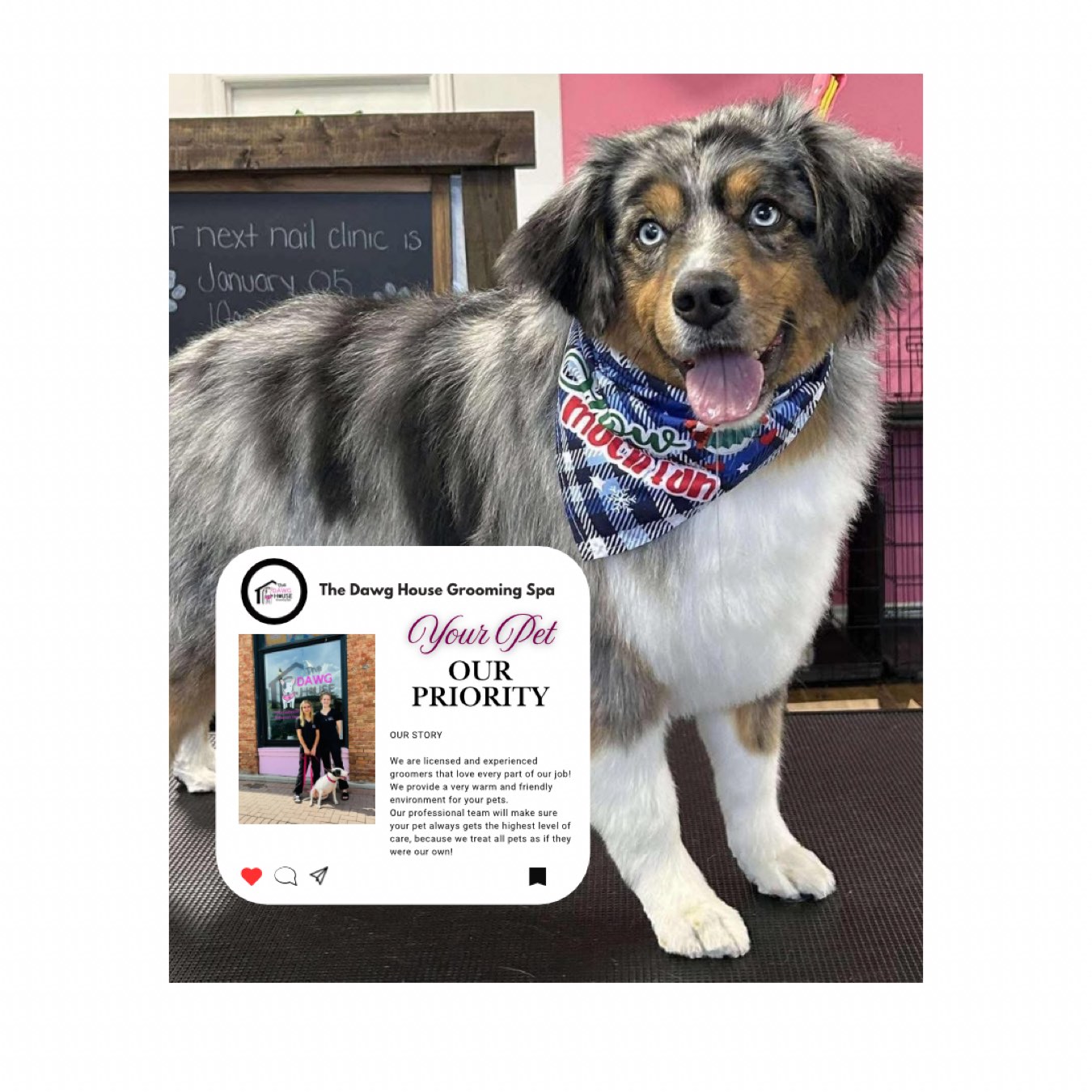 The Dawg House Grooming Spa dog grooming listing photo
